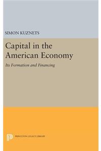 Capital in the American Economy