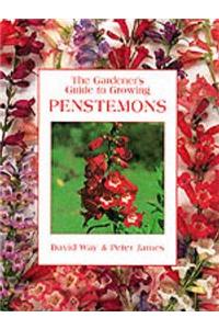 Gardener's Guide to Growing Penstemons