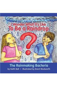 I Wonder What it's Like To Be a Raindrop