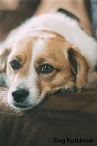 Dog Notebook