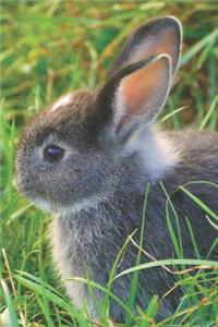 Bunny Rabbit Gardening Journal