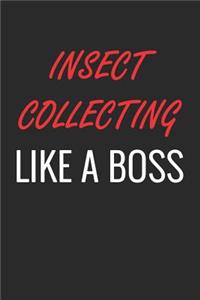 Insect Collecting Like a Boss