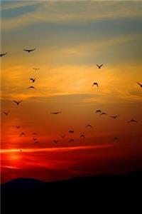 Sunset Flight