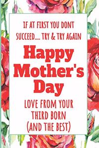 If at First You Don't Succeed Try & Try Again - Love from Your Third Born (and the Best)
