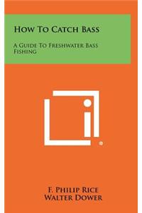 How to Catch Bass