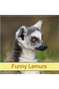 Funny Lemurs 2018