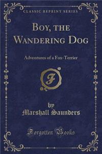 Boy, the Wandering Dog: Adventures of a Fox-Terrier (Classic Reprint)
