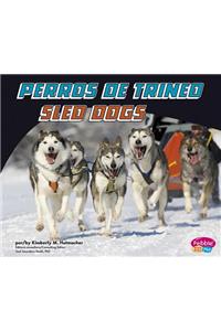 Perros de trineo/Sled Dogs