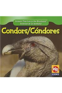 Condors/Condores