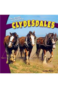 Clydesdales