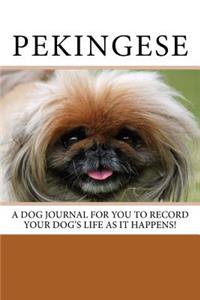 Pekingese