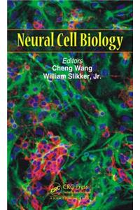 Neural Cell Biology