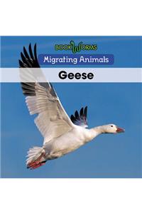 Geese