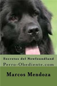 Secretos del Newfoundland
