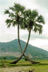 Lush Green View of Two Palm Trees and a Mountain Landscape Journal