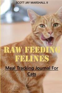 Raw Feeding Felines