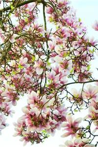 Magnolia Tree in Spring with Pink and White Flowers Journal