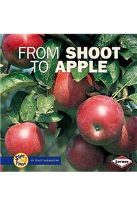 From Shoot to Apple