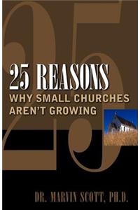 25 Reasons Why Small Churches Aren't Growing