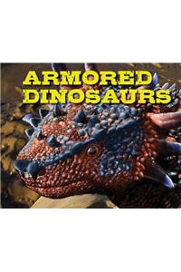 Armored Dinosaurs