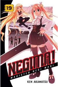 Negima! 19