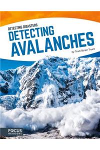 Detecting Avalanches