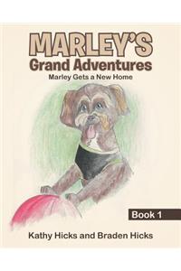 Marley's Grand Adventures: Book 1: Marley Gets a New Home