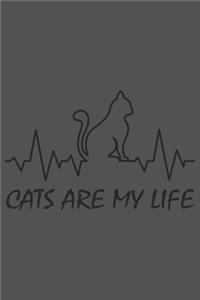 Cats Are My Life