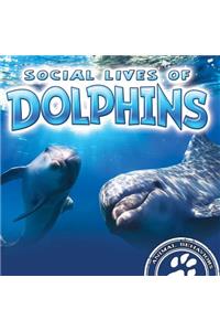 Social Lives of Dolphins