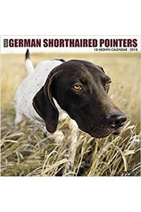 Just German Shorthaired Pointers 2018 Calendar