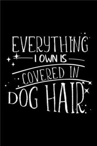 Everything I Own Is Covered in Dog Hair