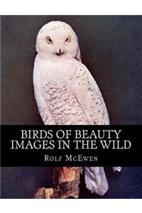 Birds of Beauty - Images in the Wild