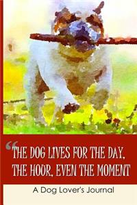 The Dog Lives for the Day, the Hour, Even the Moment