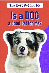 Is a Dog a Good Pet for Me?