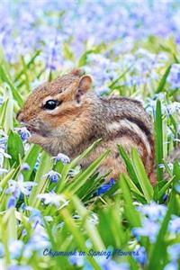Chipmunk in Spring Flowers