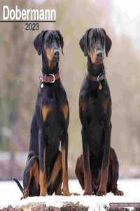 Dobermann (Euro) 2023 Wall Calendar