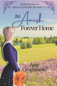 An Amish Forever Home