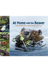 At Home with the Beaver