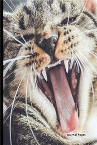 Journal Pages - Cat Breath (Bullet Journal): 6