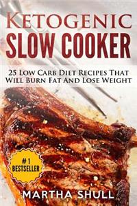 Ketogenic Slow Cooker: 25 Low Carb Diet Recipes That Will Burn Fat and Lose Weight (Ketogenic Diet, Low Carb Diet, Keto, Rapid Fat Loss, Burn Fat, Weight Loss, High Fat)