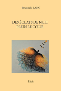 Des éclats de nuit plein le coeur