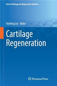 Cartilage Regeneration