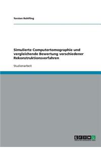 Simulierte Computertomographie und vergleichende Bewertung verschiedener Rekonstruktionsverfahren