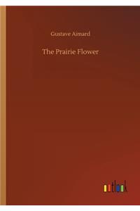 The Prairie Flower