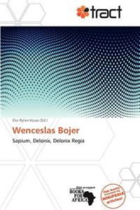 Wenceslas Bojer