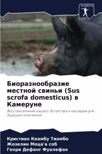 Биоразнообразие местной свиньи (Sus scrofa domesticus) в Кам
