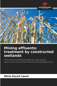 Mining effluents