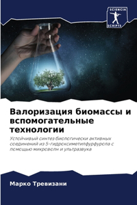 Валоризация биомассы и вспомогательные т