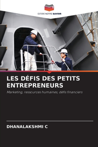 Les Défis Des Petits Entrepreneurs