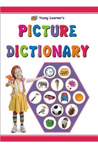 Picture Dictionary